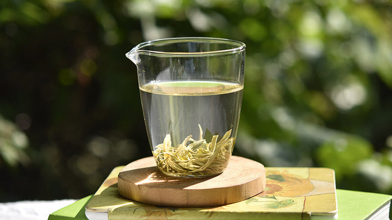 Organic Enshi Yulu Jade Dew – Steamed Green Tea